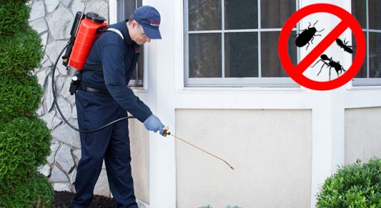 Bayraklı Hamam Böceği İlaçlama böcek ilaçlama ve haşere kontrolü — ilaclama-tr.com